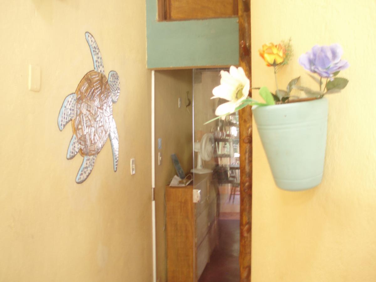 A Bananeira Azul Hostel 伊塔卡雷 外观 照片