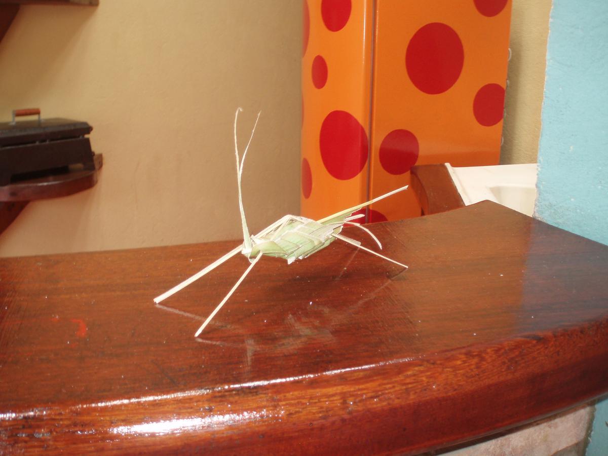 A Bananeira Azul Hostel 伊塔卡雷 外观 照片